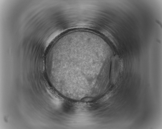 X0000099501069200806051117