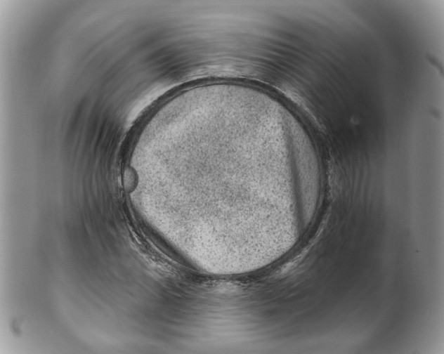 X0000099501070200806051117