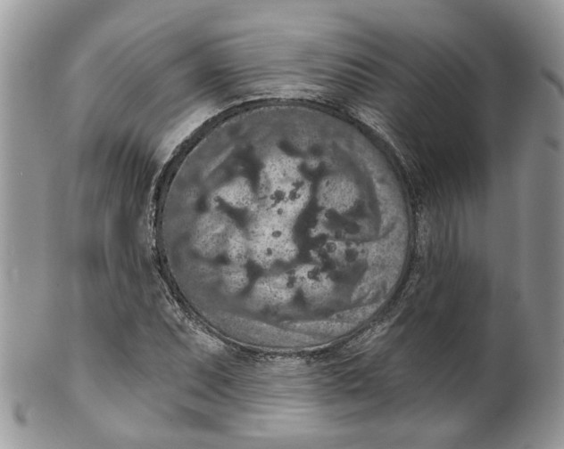 X0000099501071200806051117