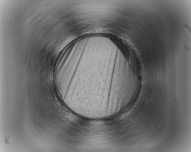 X0000099501073200806051117