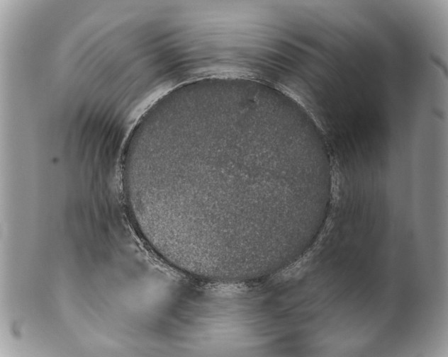 X0000099501074200806051117