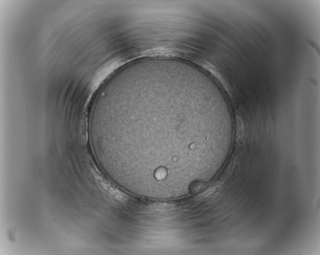 X0000099501075200806051117