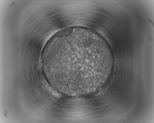 X0000099501076200806051117