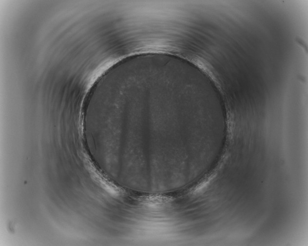 X0000099501077200806051117