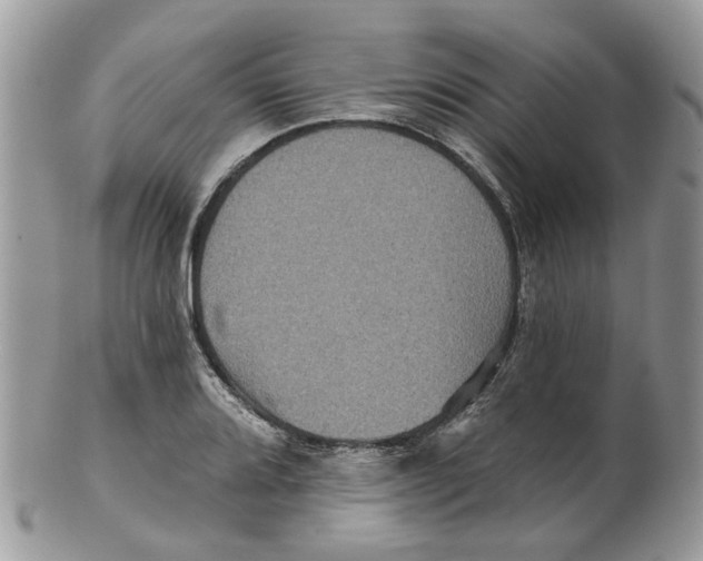 X0000099501080200806051117