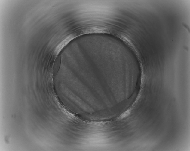 X0000099501081200806051117