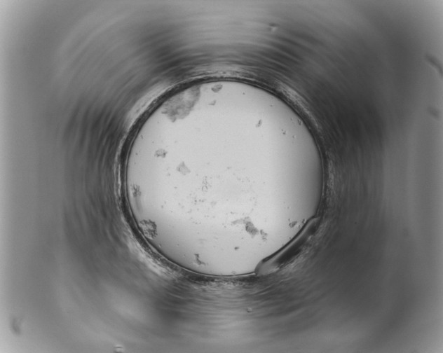 X0000099501082200806051117