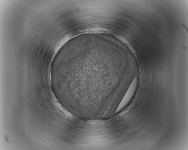 X0000099501083200806051117