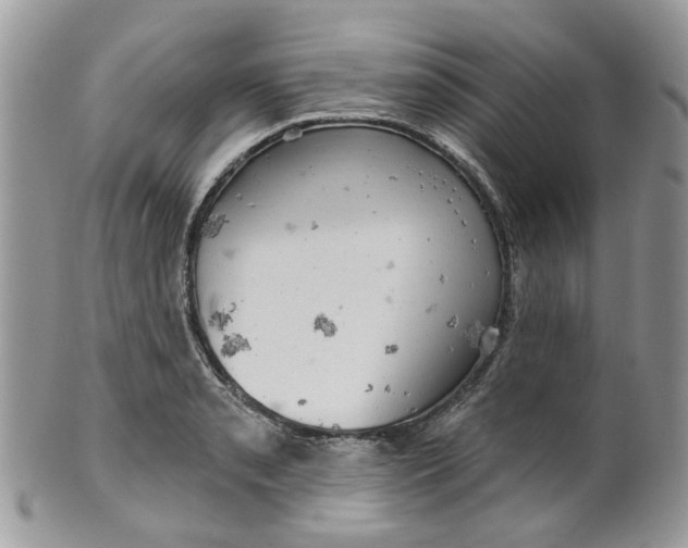 X0000099501085200806051117