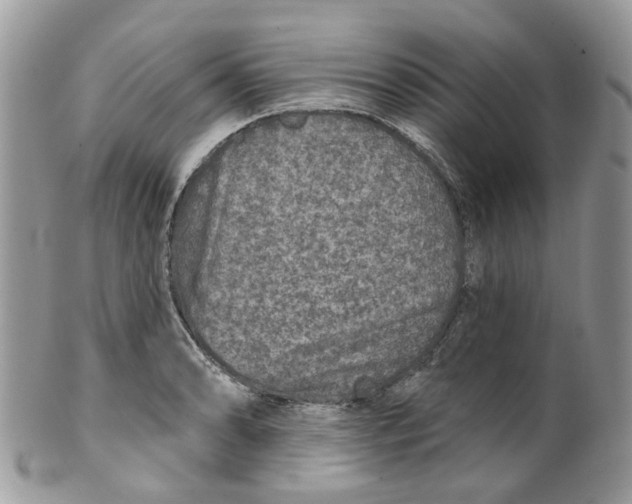 X0000099501086200806051117