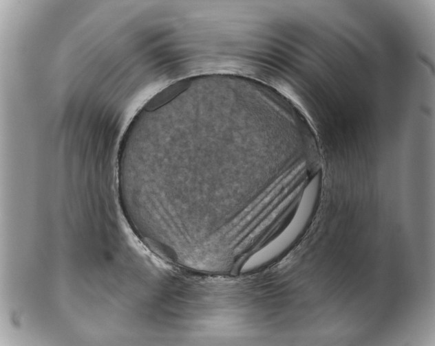 X0000099501088200806051117