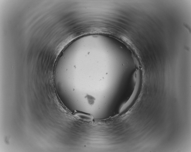 X0000099501089200806051117