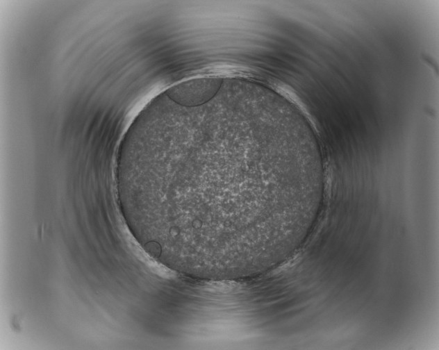 X0000099501091200806051117