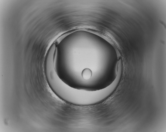 X0000099501092200806051117