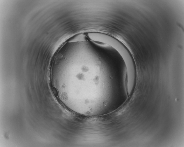 X0000099501093200806051117