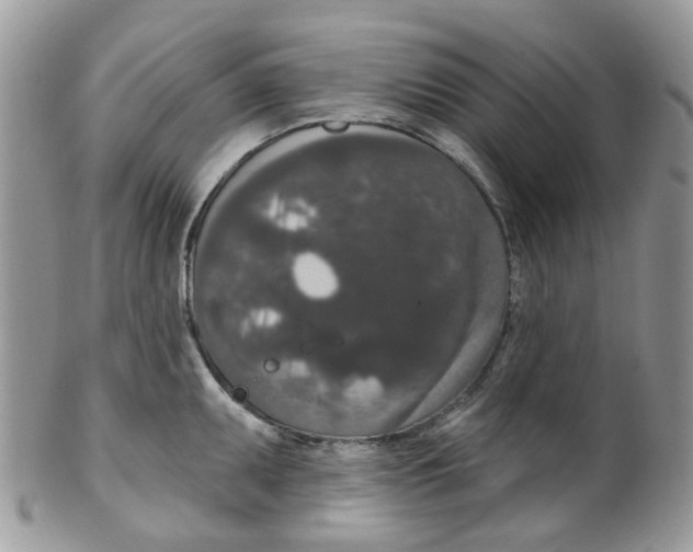 X0000099501095200806051117