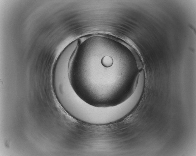 X0000099501096200806051117