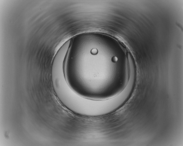 X0000099501097200806051117