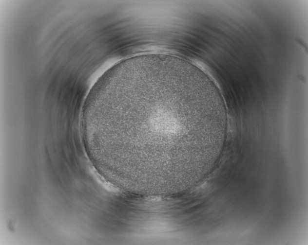 X0000099501098200806051117