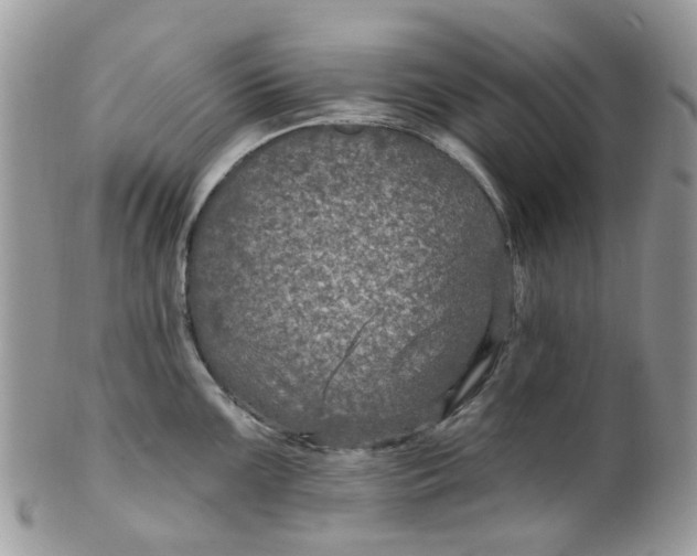 X0000099501099200806051117