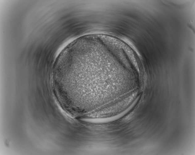 X0000099501101200806051117