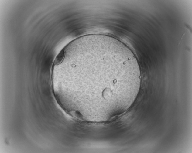 X0000099501103200806051117