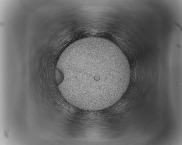 X0000099501105200806051116