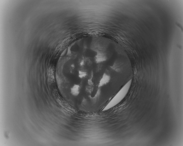 X0000099501106200806051116