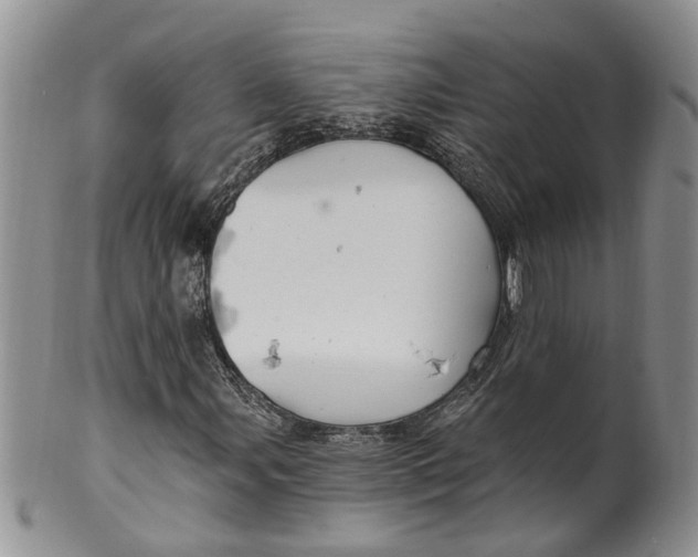 X0000099501107200806051116