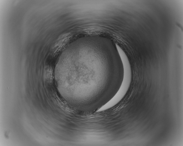 X0000099501108200806051116