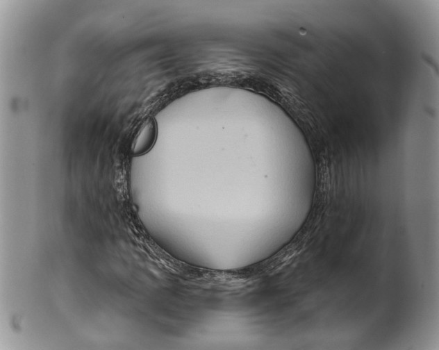 X0000099501109200806051116