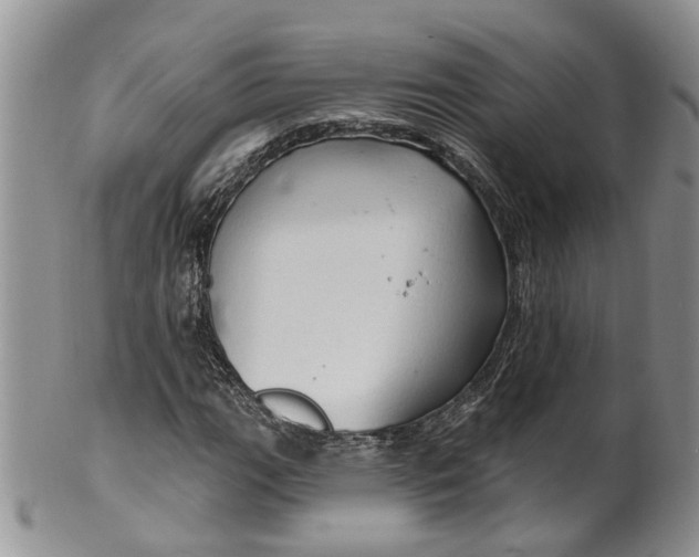 X0000099501111200806051116