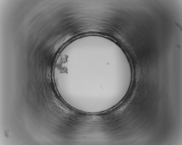 X0000099501113200806051116