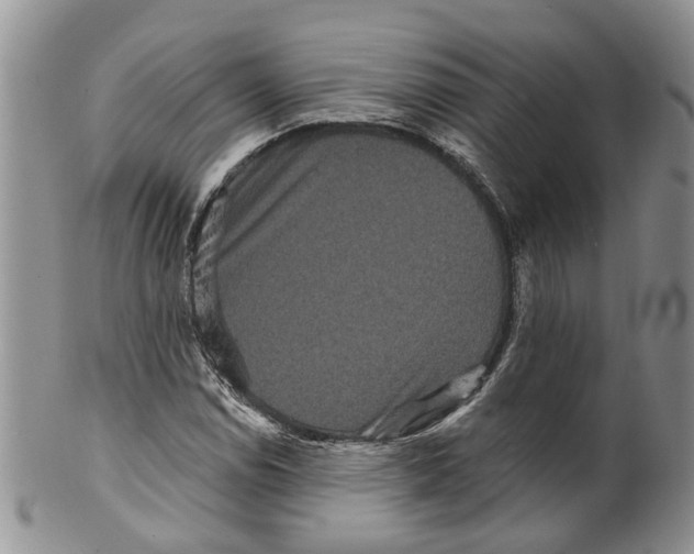 X0000099501114200806051116