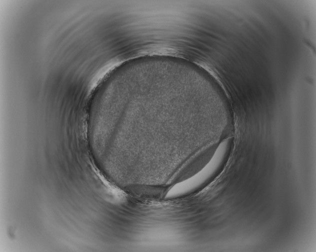 X0000099501115200806051116