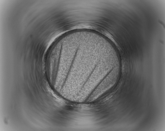 X0000099501116200806051116