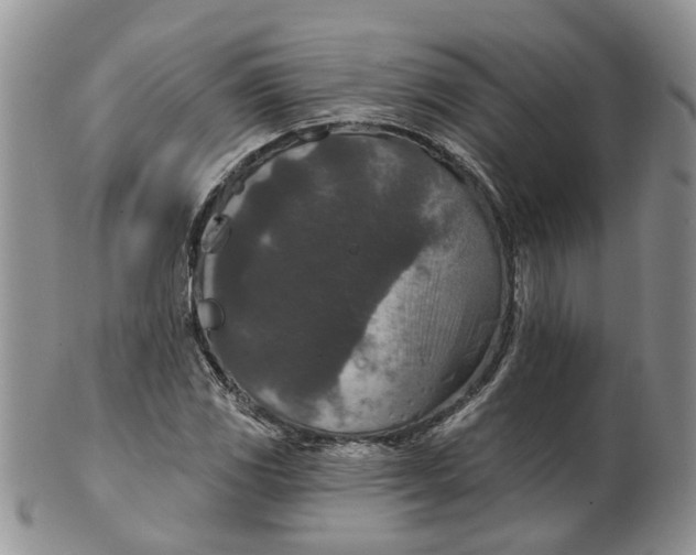 X0000099501117200806051116