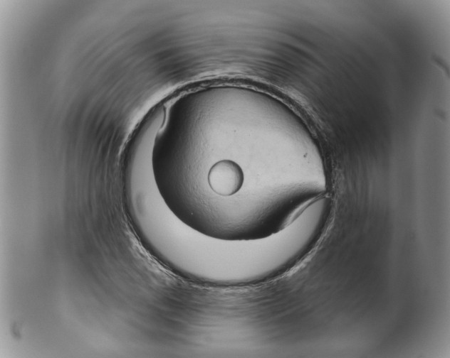 X0000099501118200806051116