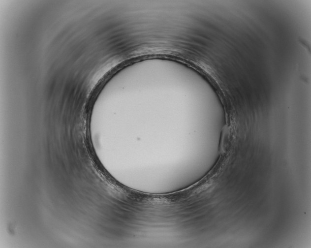 X0000099501119200806051116