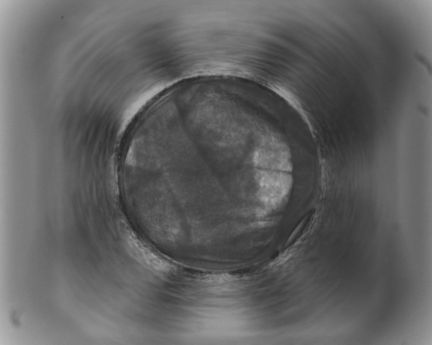 X0000099501120200806051116