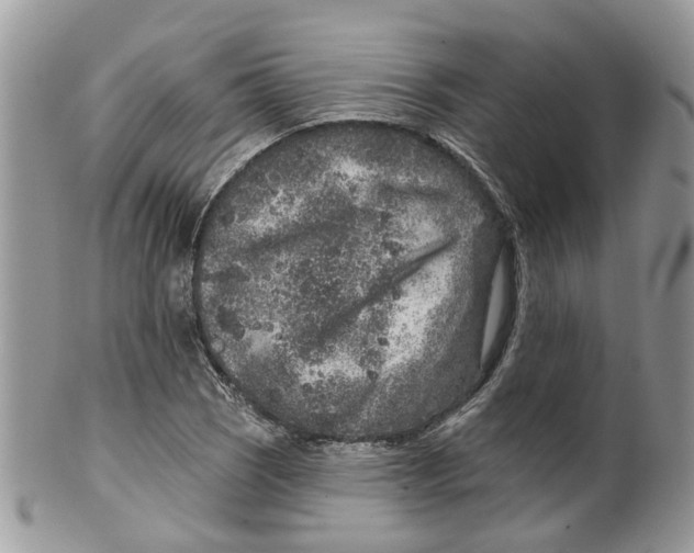 X0000099501121200806051116