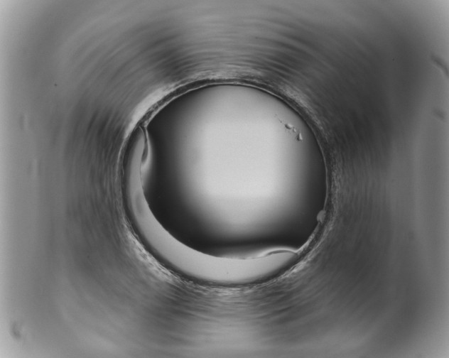 X0000099501122200806051116