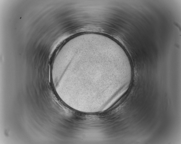 X0000099501123200806051116