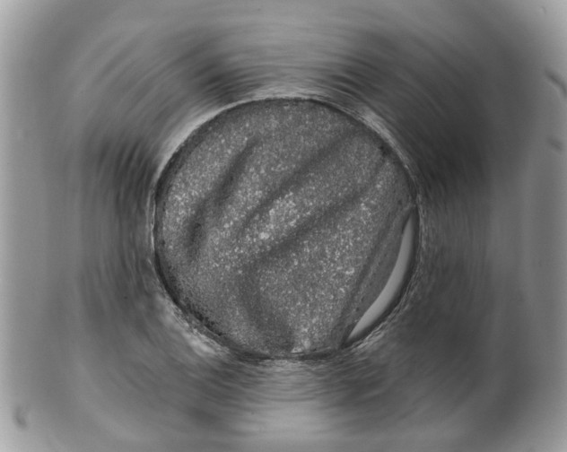 X0000099501124200806051116