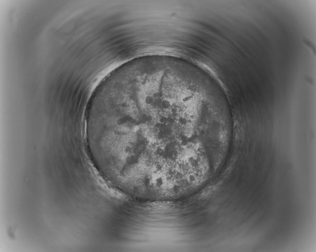 X0000099501125200806051116