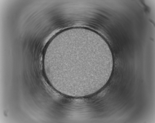 X0000099501126200806051116