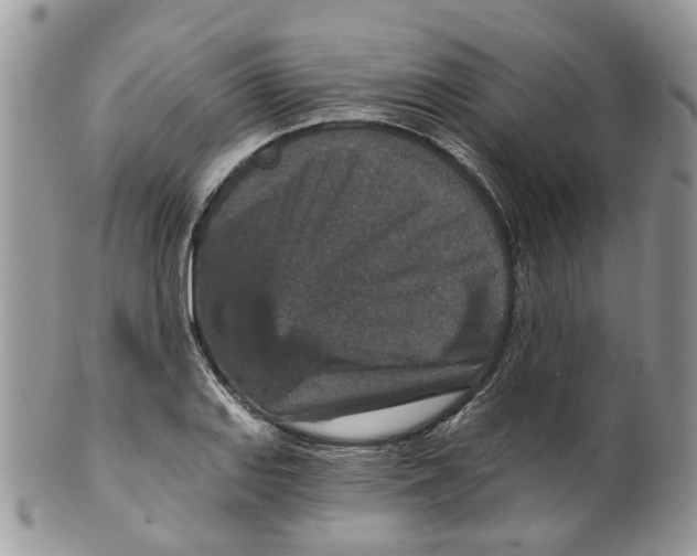 X0000099501127200806051116