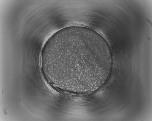 X0000099501128200806051116