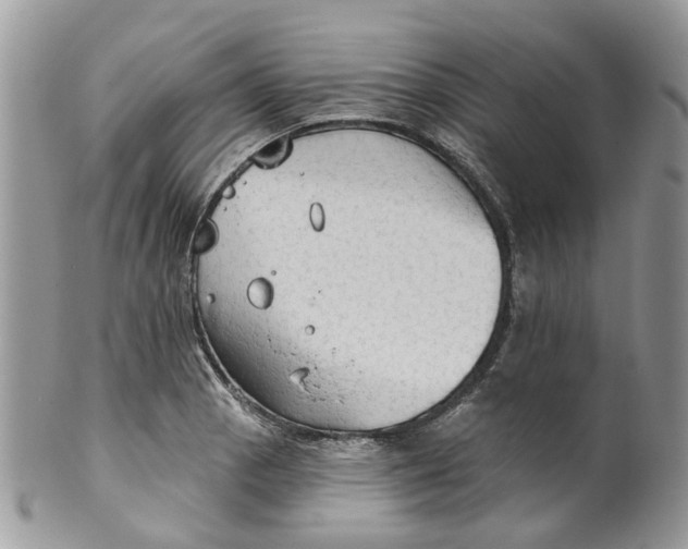 X0000099501129200806051116