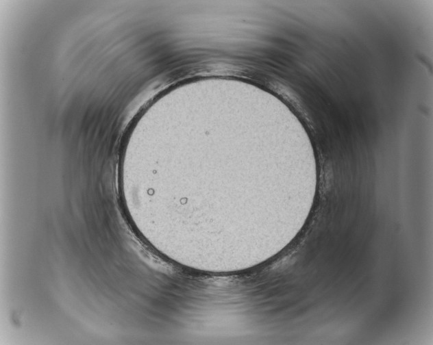 X0000099501130200806051116